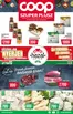 Coop katalógus, Budaörs | Fedezze fel a vonzó ajánlatokat | 2026-09-10T00:00:00.000Z - 2026-09-16T00:00:00.000Z