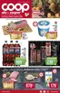 Coop katalógus, Diósd | Coop regionális szórólap szeptember 3. hét - Alföld | 2026-09-17T00:00:00.000Z - 2026-09-23T00:00:00.000Z