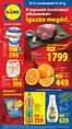Lidl katalógus, Füzesabony | Akciós újság – 50. hét | 2025-12-11T00:00:00.000Z - 2025-12-17T00:00:00.000Z
