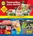 Lidl katalógus, Pécs | Érvényes 12.11-től | 2025-12-11T00:00:00.000Z - 2025-12-14T00:00:00.000Z