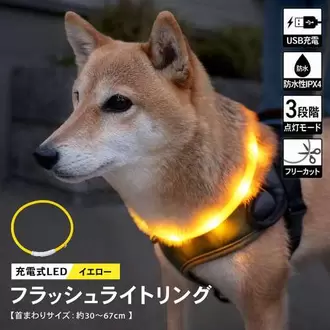 充電式ＬＥＤフラッシュライトリング　イエロー　ＳＸ１２‐６０８４