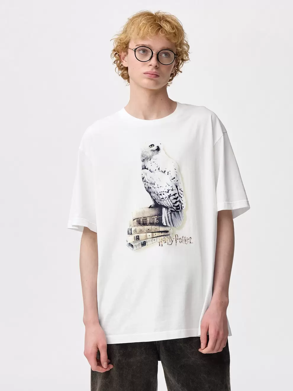 ウォッシュドグラフィックT Harry Potter
