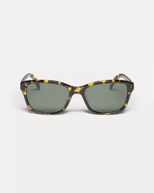 ALAN SUNGLASSES