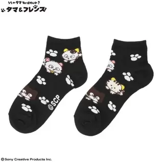 レディース　靴下（タマ＆フレンズ）
