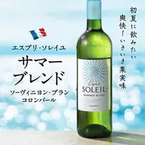 【お酒】エスプリ・ソレイユ　サマーブレンド　ソーヴィニヨンブラン・コロンバール（白）750ml
