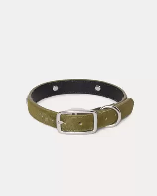 STUDDED DOG COLLAR