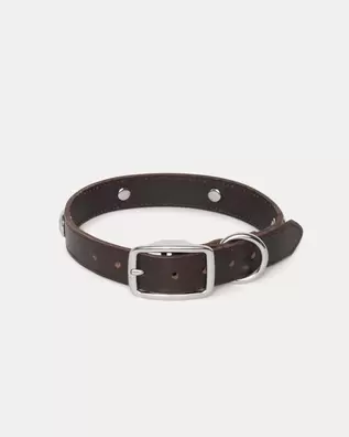 STUDDED DOG COLLAR
