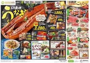 栗東市でのとちぎコープのカタログ | とちぎコープ チラシ | 2025-07-18T00:00:00.000Z - 2025-07-19T00:00:00.000Z