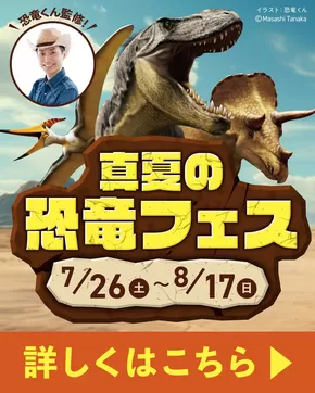 大阪市でのイトーヨーカドーのカタログ | 今すぐ私たちの取引で節約 | 2025-07-25T00:00:00.000Z - 2025-08-17T00:00:00.000Z