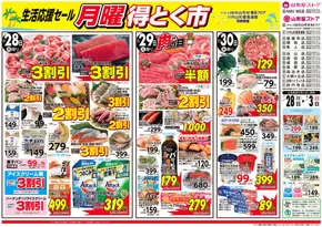 大阪市での山形屋ストアのカタログ | 期間：7月28日（月）～8月3日（日） | 2025-07-28T00:00:00.000Z - 2025-08-03T00:00:00.000Z