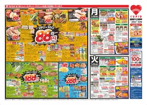 新潟市でのキューピットのカタログ | キューピット チラシ | 2025-07-28T00:00:00.000Z - 2025-07-30T00:00:00.000Z