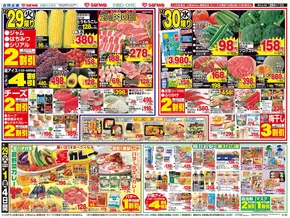 千葉市でのフードワンのカタログ | 私たちの最高の掘り出し物 | 2025-07-28T00:00:00.000Z - 2025-08-01T00:00:00.000Z