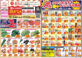 鹿嶋市でのクスリのアオキのカタログ | 掘り出し物ハンターのための素晴らしいオファー | 2025-06-30T00:00:00.000Z - 2025-09-01T00:00:00.000Z