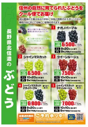 千葉市でのランドロームのカタログ | トップディールと割引 | 2025-08-01T00:00:00.000Z - 2025-10-20T00:00:00.000Z