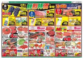 岡山市でのAコープ西日本のカタログ | 掘り出し物ハンターのための素晴らしいオファー | 2025-08-01T00:00:00.000Z - 2025-08-07T00:00:00.000Z