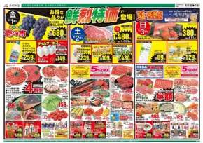 相模原市でのAコープ西日本のカタログ | 排他的な掘り出し物 | 2025-08-01T00:00:00.000Z - 2025-08-07T00:00:00.000Z