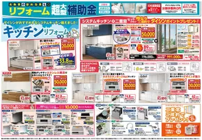 ダイシン チラシ