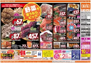 排他的な掘り出し物