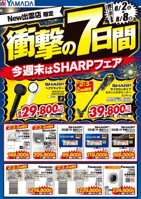出雲市でのヤマダ電機のカタログ | 排他的な掘り出し物 | 2025-08-01T00:00:00.000Z - 2025-08-08T00:00:00.000Z