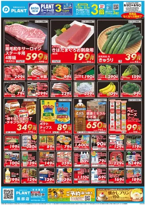 津幡町でのスーパーセンタープラントのカタログ | 私たちのお客様のための排他的な取引 | 2025-08-02T00:00:00.000Z - 2025-08-05T00:00:00.000Z