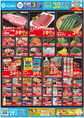 津幡町でのスーパーセンタープラントのカタログ | すべてのお客様のためのトップディール | 2025-08-02T00:00:00.000Z - 2025-08-05T00:00:00.000Z