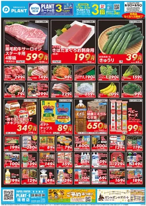 津幡町でのスーパーセンタープラントのカタログ | あなたのための私たちの最高のオファー | 2025-08-02T00:00:00.000Z - 2025-08-05T00:00:00.000Z