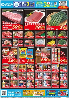 津幡町でのスーパーセンタープラントのカタログ | 選ばれた製品の素晴らしい割引 | 2025-08-02T00:00:00.000Z - 2025-08-05T00:00:00.000Z