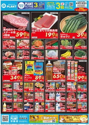 津幡町でのスーパーセンタープラントのカタログ | 掘り出し物ハンターのためのオファー | 2025-08-02T00:00:00.000Z - 2025-08-05T00:00:00.000Z