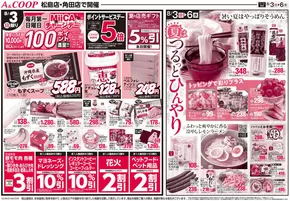 栃木市でのみやぎ生活協同組合のカタログ | 私たちの最高の掘り出し物 | 2025-08-03T00:00:00.000Z - 2025-08-06T00:00:00.000Z