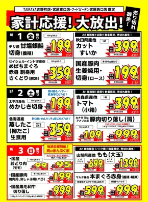 北葛飾郡でのたいらやのカタログ | すべての人のための魅力的な特別オファー | 2025-08-01T00:00:00.000Z - 2025-08-03T00:00:00.000Z