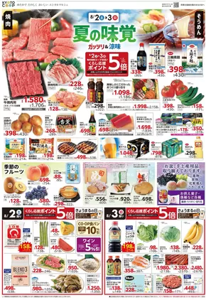 栃木市での京都生協のカタログ | 京都生協 チラシ | 2025-08-02T00:00:00.000Z - 2025-08-05T00:00:00.000Z