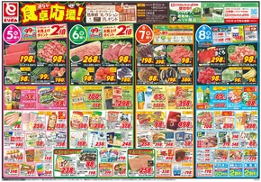 渋川市でのとりせんのカタログ | 私たちのお客様のための排他的な取引 | 2025-08-04T00:00:00.000Z - 2025-08-08T00:00:00.000Z