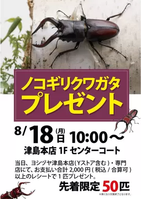 弥富市でのヨシヅヤのカタログ | 選ばれた製品の素晴らしい割引 | 2025-08-04T00:00:00.000Z - 2025-08-18T00:00:00.000Z
