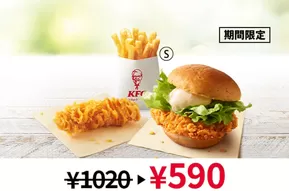 ケンタッキーフライドチキン チラシ
