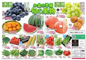 南九州市でのビッグビーンズのカタログ | 芦屋店 | 2025-08-09T00:00:00.000Z - 2025-08-12T00:00:00.000Z
