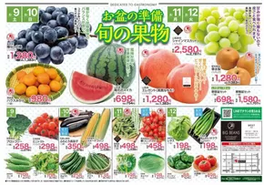 南九州市でのビッグビーンズのカタログ | ウェスト本店 | 2025-08-09T00:00:00.000Z - 2025-08-12T00:00:00.000Z