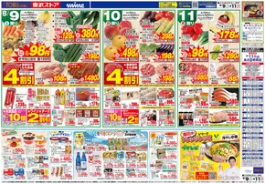 南さつま市での東武ストアのカタログ | チラシ 東武ストア | 2025-08-09T00:00:00.000Z - 2025-08-11T00:00:00.000Z