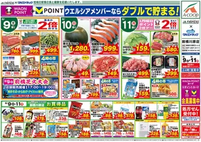 石狩市でのマルエドラッグのカタログ | 今すぐ私たちの取引で節約 | 2025-08-08T00:00:00.000Z - 2025-08-11T00:00:00.000Z
