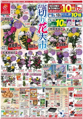 萩市でのジュンテンドーのカタログ | 魅力的なオファーを発見する | 2025-08-08T00:00:00.000Z - 2025-08-24T00:00:00.000Z