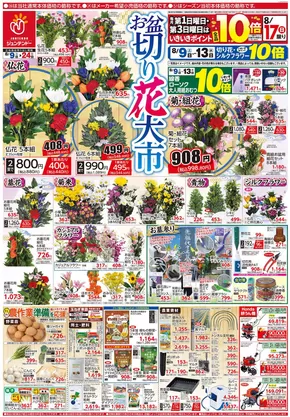 私たちの最高の掘り出し物