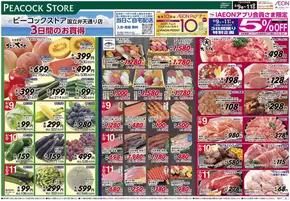 石狩市でのピーコックストアのカタログ | 私たちのお客様のための排他的な取引 | 2025-08-08T00:00:00.000Z - 2025-08-11T00:00:00.000Z