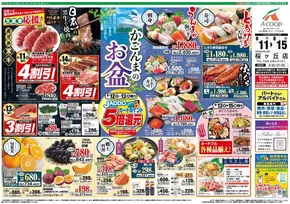 南九州市でのAコープ 鹿児島のカタログ | 私たちの最高の掘り出し物 | 2025-08-11T00:00:00.000Z - 2025-08-15T00:00:00.000Z