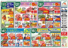 新潟市でのAコープ東北のカタログ | 私たちの最高の掘り出し物 | 2025-08-11T00:00:00.000Z - 2025-08-15T00:00:00.000Z