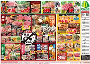入間市でのいなげやのカタログ | 掘り出し物ハンターのためのオファー | 2025-08-16T00:00:00.000Z - 2025-08-19T00:00:00.000Z