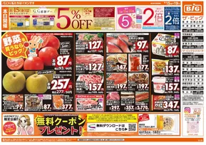 昭島市でのザ・ビッグのカタログ | 現在の取引とオファー | 2025-08-15T00:00:00.000Z - 2025-08-19T00:00:00.000Z