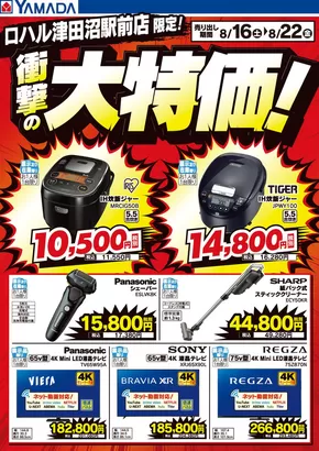 ヤマダ電機のカタログ | 掘り出し物ハンターのためのオファー | 2025-08-15T00:00:00.000Z - 2025-08-22T00:00:00.000Z