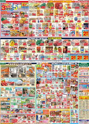 サンプラザ チラシ