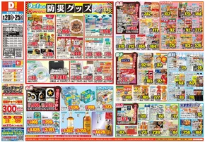 船橋市でのダイレックスのカタログ | 排他的な掘り出し物 | 2025-08-20T00:00:00.000Z - 2025-08-25T00:00:00.000Z