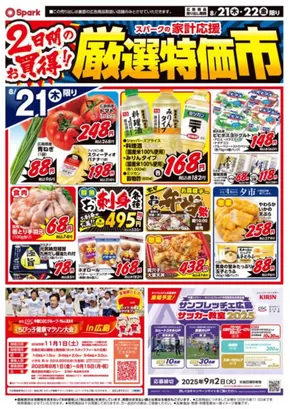 スパーク チラシ