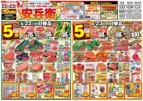 金沢市でのダイイチのカタログ | ダイイチ チラシ | 2025-08-22T00:00:00.000Z - 2025-08-23T00:00:00.000Z